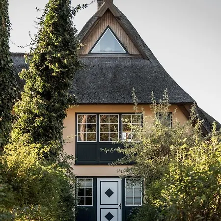 Ferienhaeuser Duenenmeer Dierhagen Exterior photo