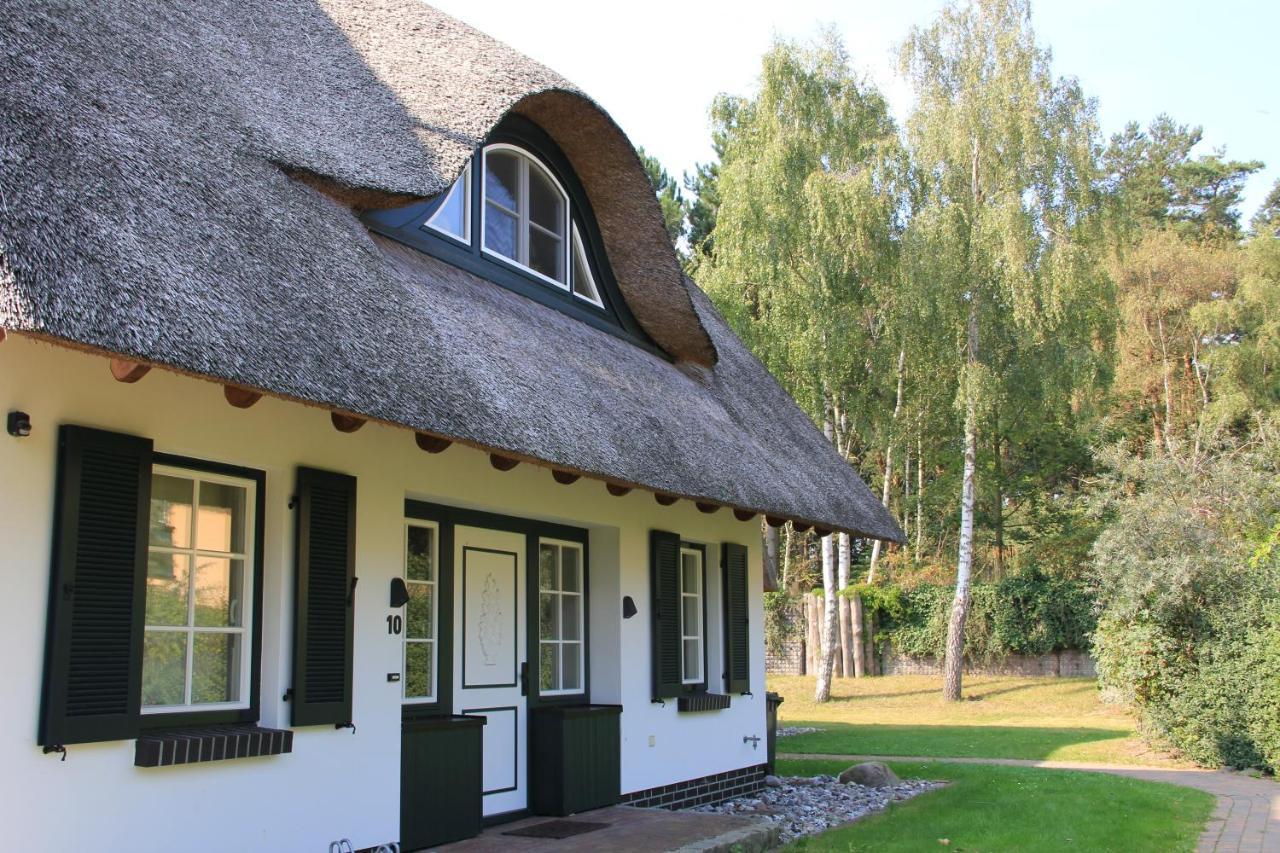 Villa Ferienhaeuser Duenenmeer Dierhagen