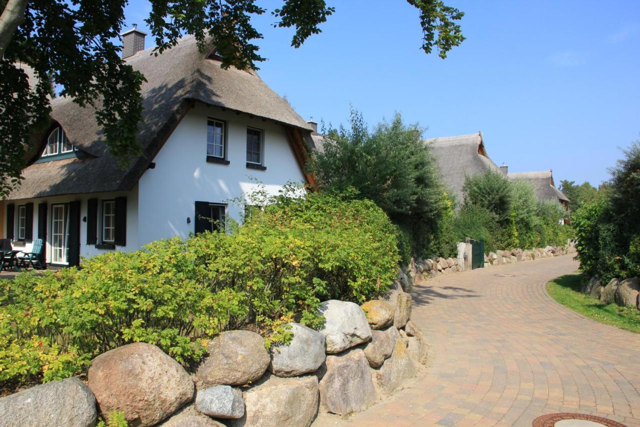 Dünenmeer *