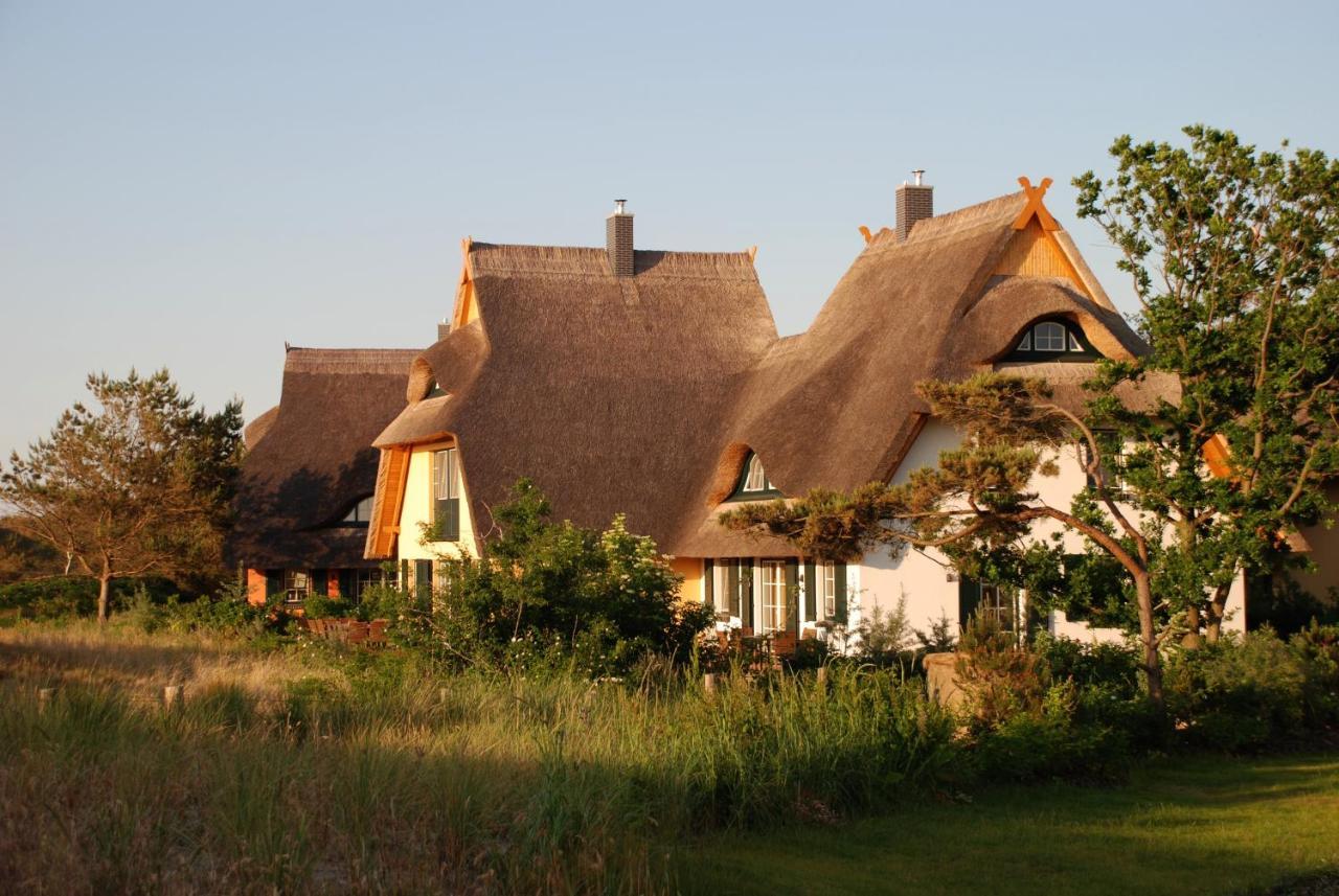 Dünenmeer